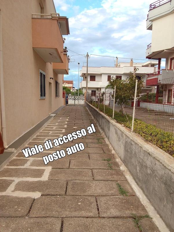  id.5241929