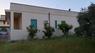  id.5242009