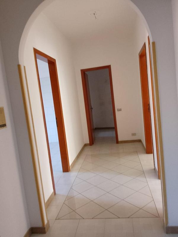  id.5256555
