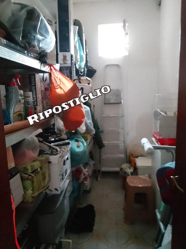  id.5256642