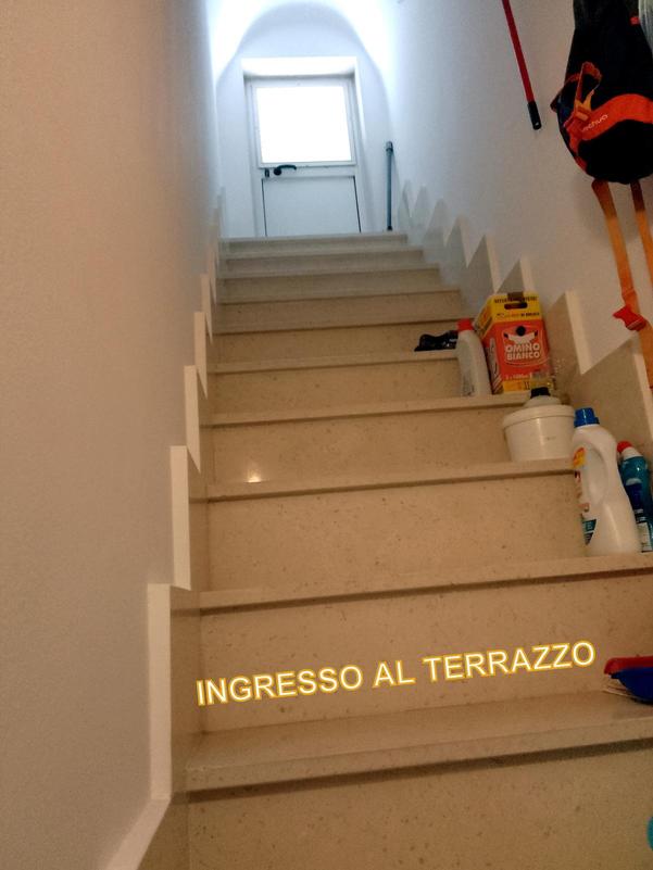  id.5260595