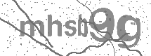 CAPTCHA Immagine